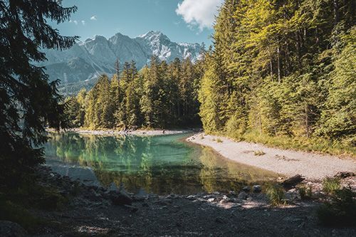 alpen, bergmeertje, dennenbos