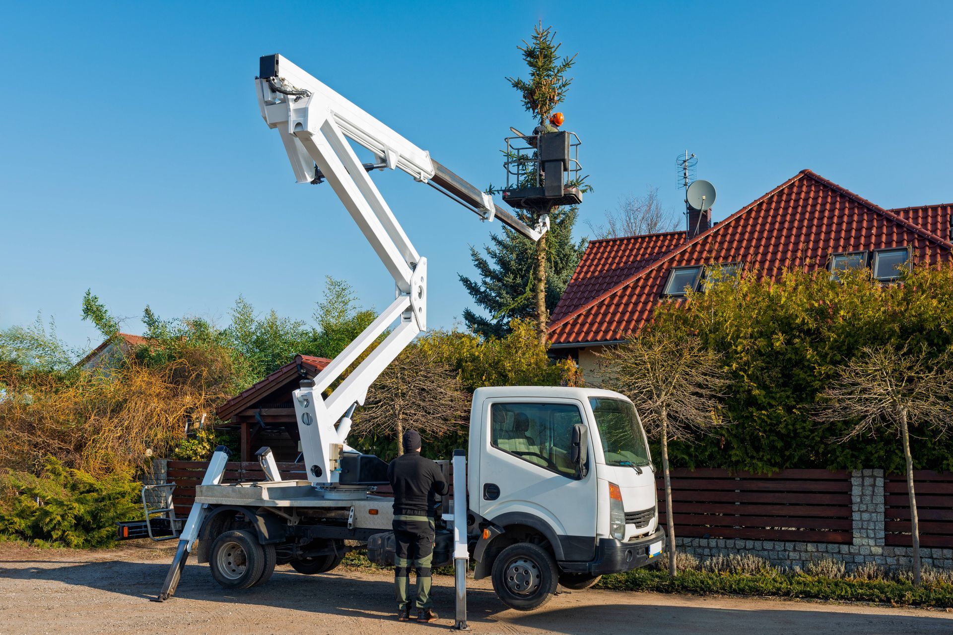 Tree service professional cutting down a tree while inside an elevated platform truck at Hauling Ash