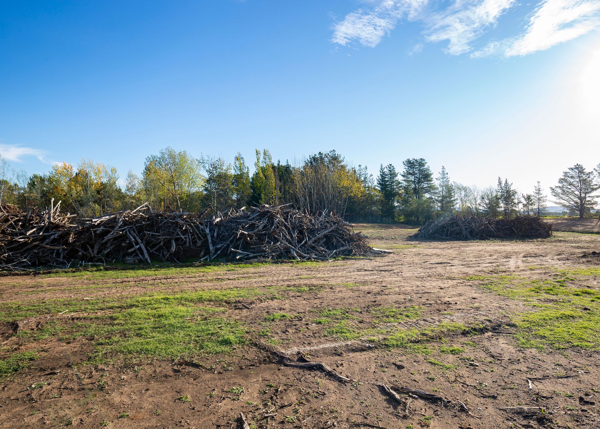 A large field with a pile of cleared trees.