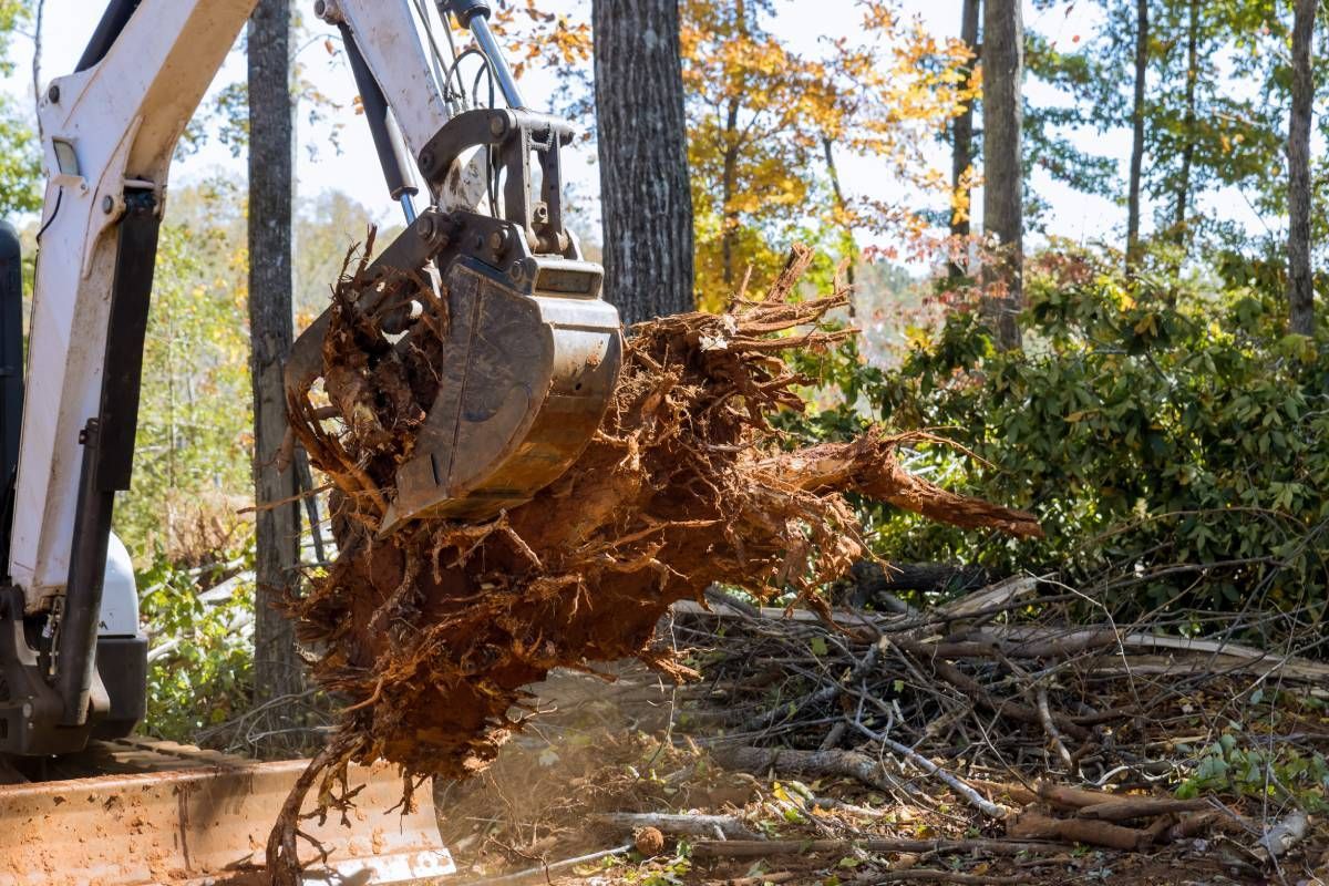 A machine clearing tree stumps and other debris near Versailles, KY