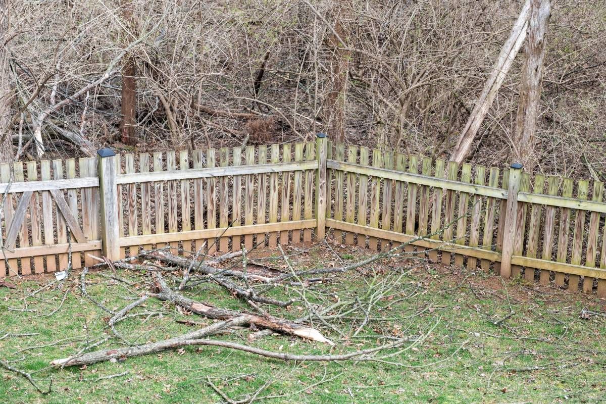 Broken branches in a backyard near Versailles, KY