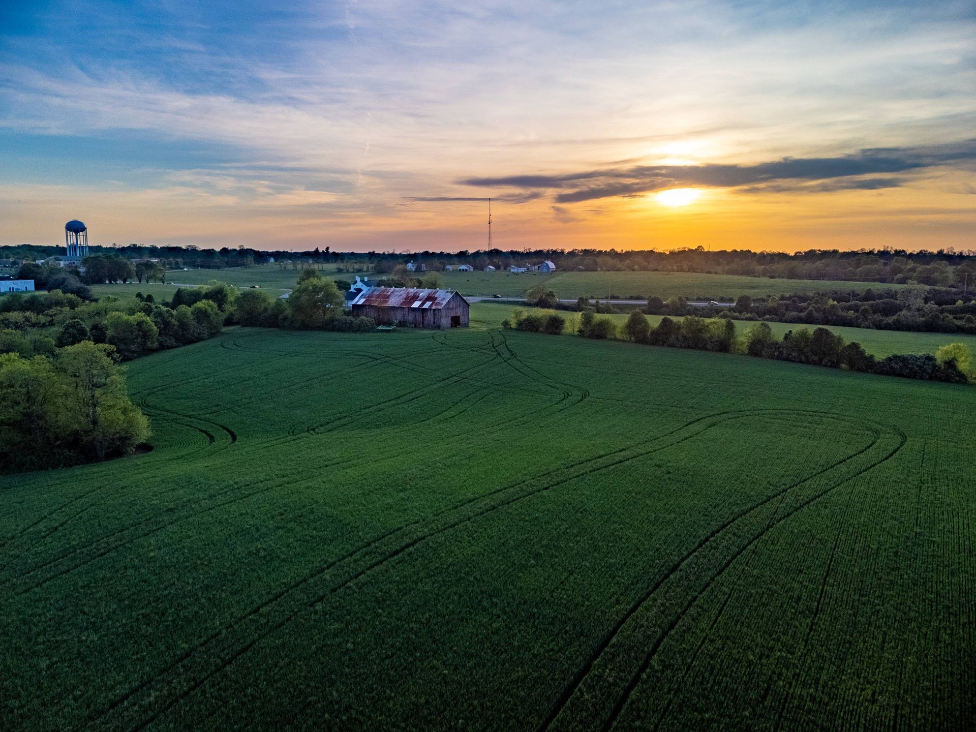 Tree farm with multiple rows of trees and a barn near Nicholasville, KY.