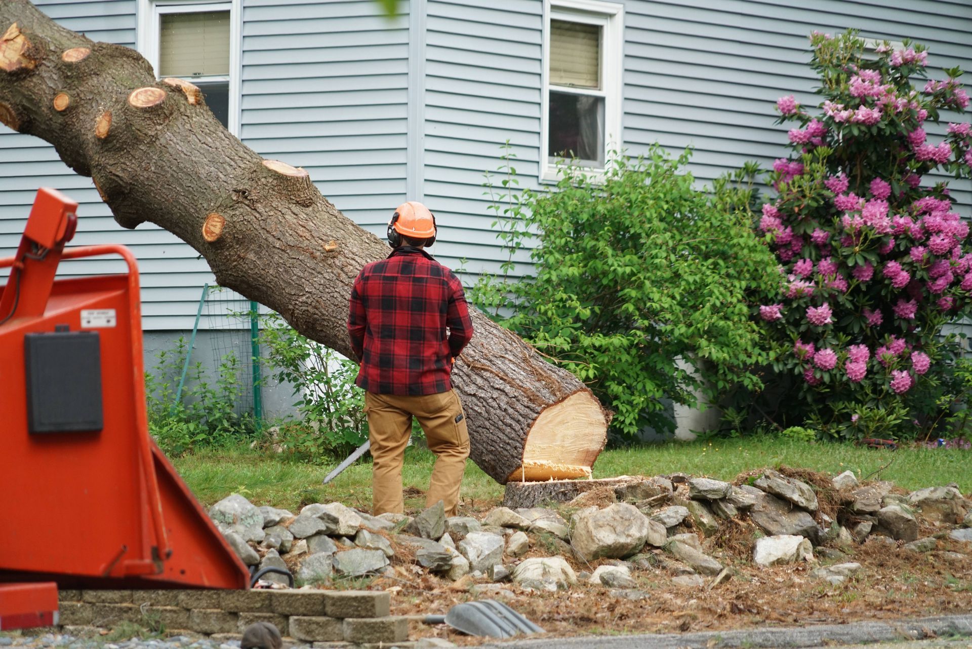 Worker standing next to a fallen tree beside a white house in a residential neighborhood near Versai