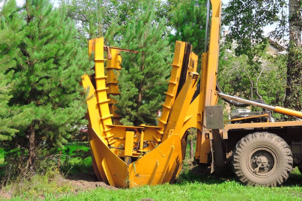 Tree transplanting machine uprooting a tree near Versailles, KY