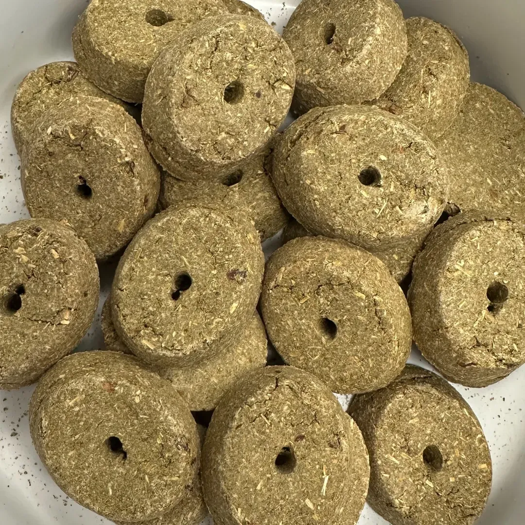 Apple Horse Treats 2lbs