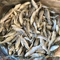 Freeze-Dried Minnows – 1 lb Bulk Bag