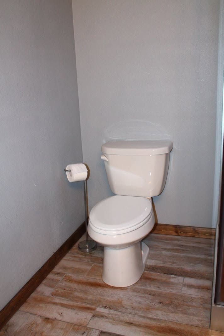 Small bathroom with a white toilet against a gray wall and wood-look floor.