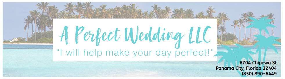 Banner for &ldquo;A Perfect Wedding LLC&rdquo; with palm trees, blue sky, and the tagline &ldquo;I will help make your day perfect!&rdquo;