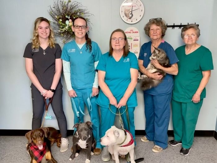 Veterinary staff posing with several dogs in a clinic, wearing scrubs and holding leashes.