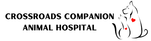 Crossroads Companion Animal Hospital logo with a white cat outline and red accent on a black background
