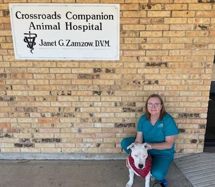 Woman kneels with a dog outside Crossroads Companion Animal Hospital sign on a brick wall.