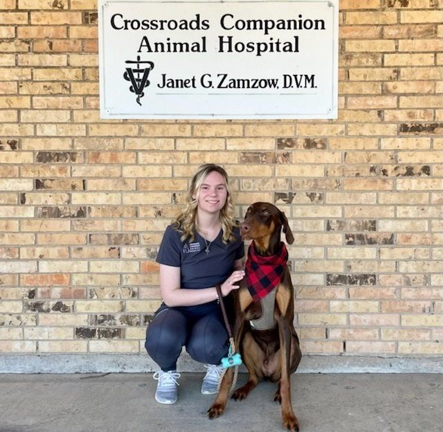 Woman kneels with a brown dog in front of Crossroads Companion Animal Hospital sign