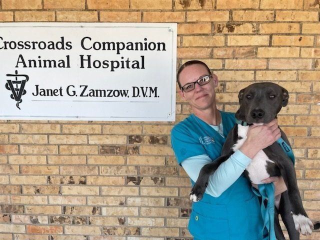 Woman holding black-and-white dog outside Crossroads Companion Animal Hospital sign