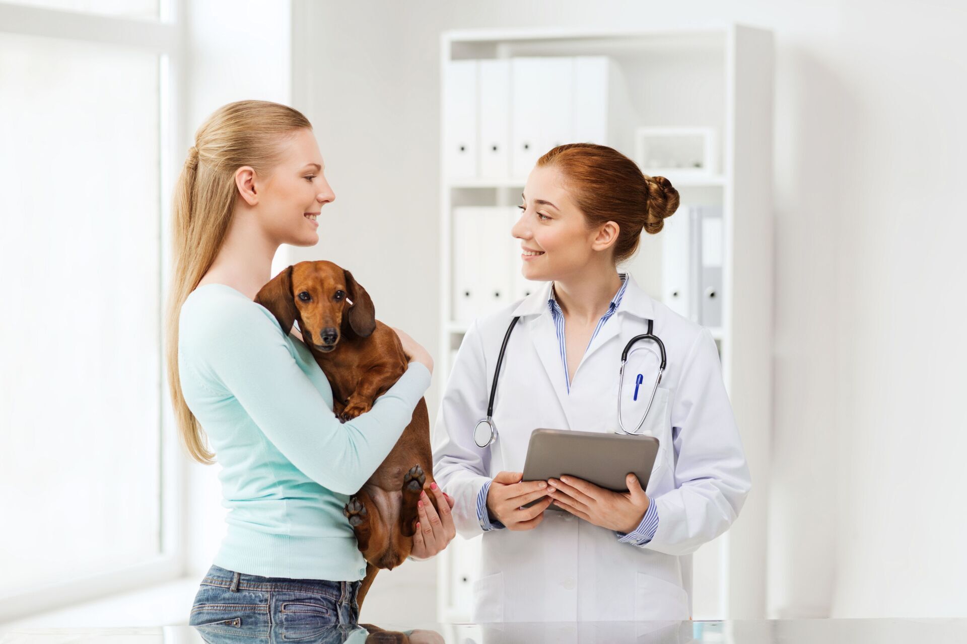 Veterinarian talking with a woman holding a dachshund in a bright clinic office
