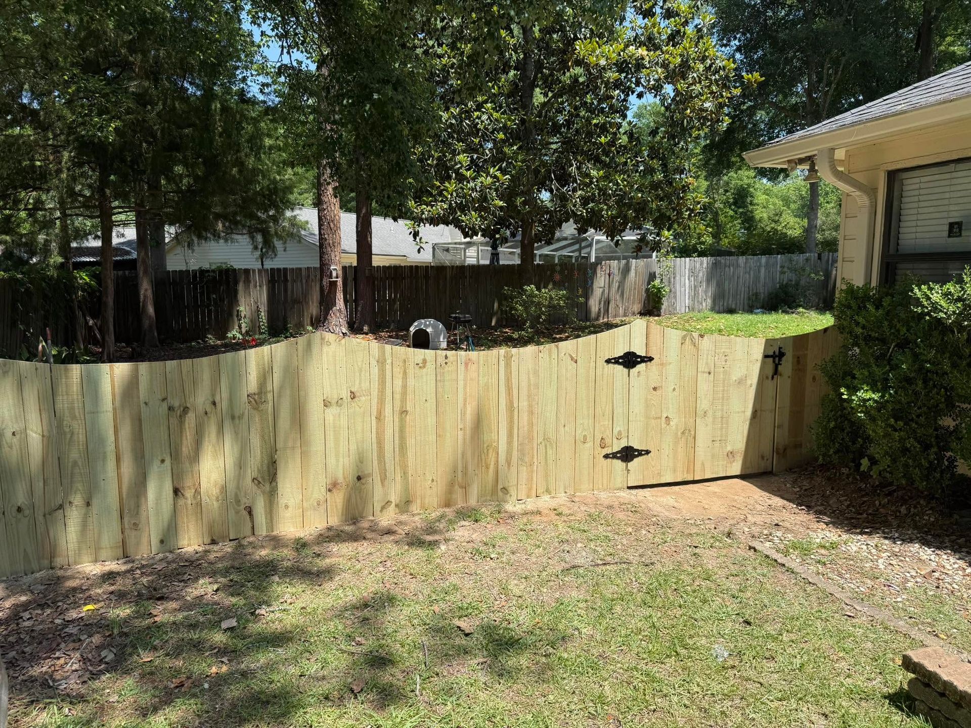 Backyard with a new wooden fence, grassy lawn, and trees in sunlight