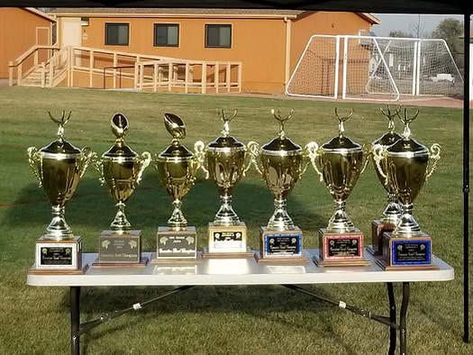 Row of seven gold trophies on a table in front of a soccer goal and building