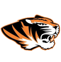 Stylized orange, black, and white tiger head logo snarling to the right