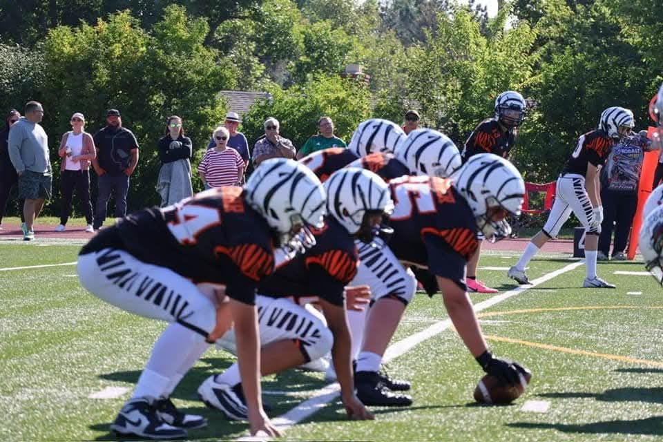 Two football teams line up at the line of scrimmage on a sunny field, ready for the snap.