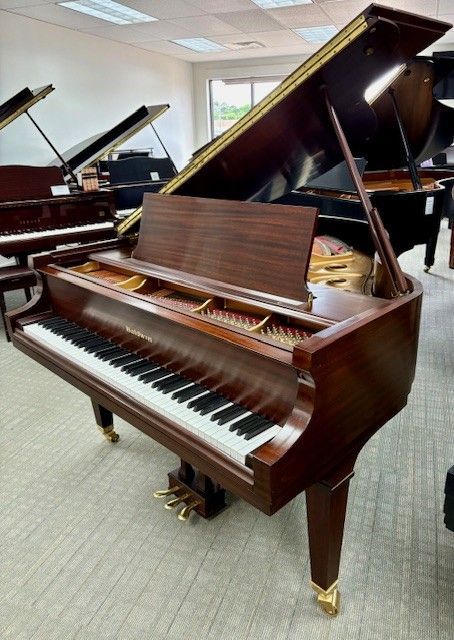 Brown grand piano in a showroom with other grand pianos nearby