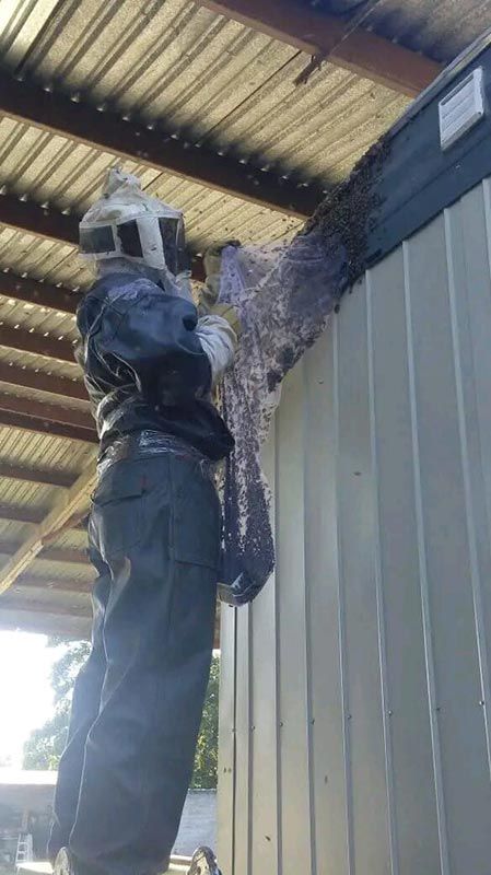 BIO-GREEN CONTROL ECOLÓGICO DE PLAGAS
