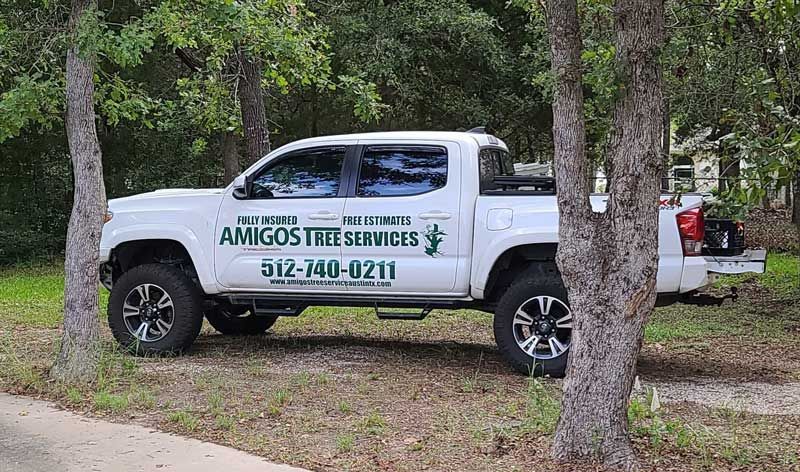 White Amigos Tree Services pickup truck parked among trees in a grassy area
