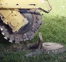 Yellow mower wheel stuck on a tree stump in grass