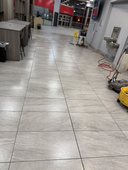 Avis Floor Cleaning Scrub DIA