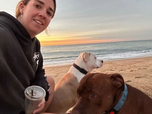 Person with two dogs at the beach during sunset, one holding a drink cup Person with two dogs at the beach during sunset, one holding a drink cup