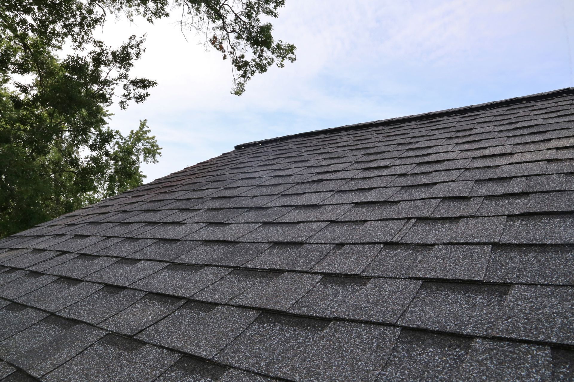 Dark gray asphalt shingle roof, with a tree in the background under a blue sky.