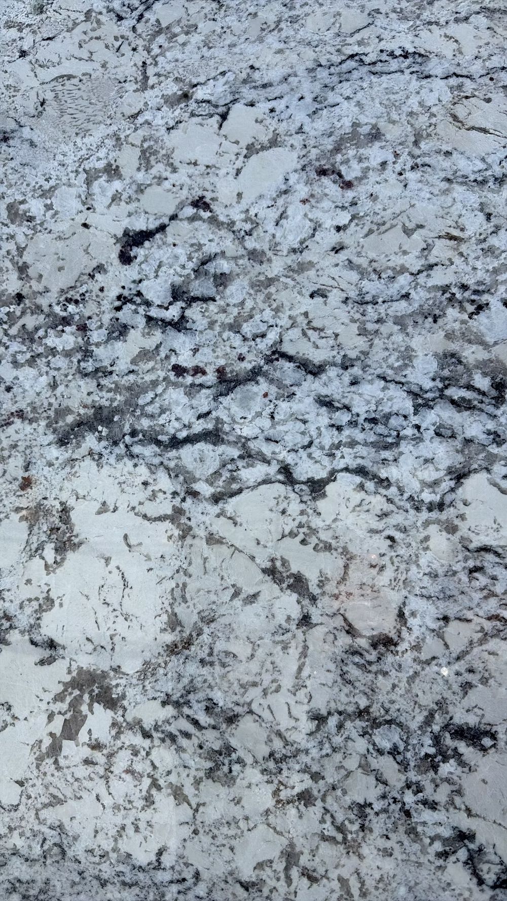 Close-up of a gray and white speckled stone surface with dark veining.
