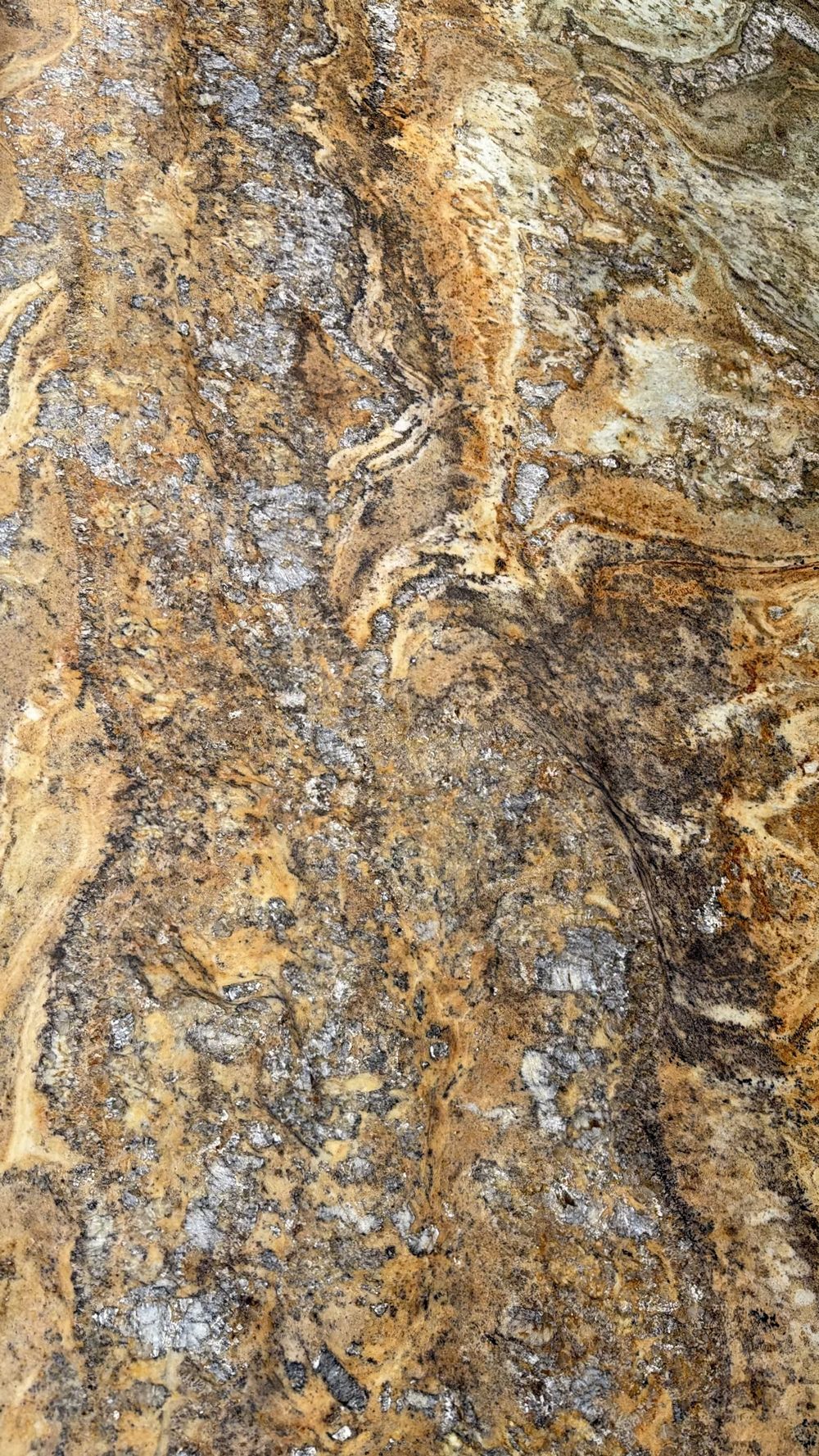 Close-up of mottled brown, gold, and gray stone or bark texture