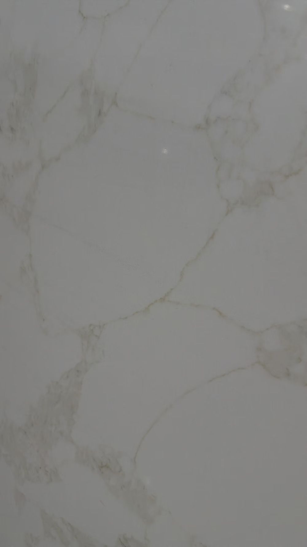 Light gray marble surface with subtle beige veining