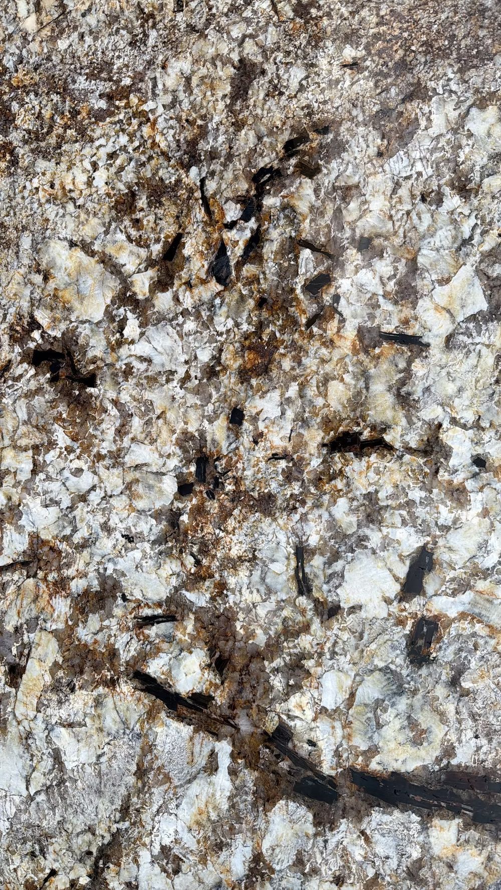 Close-up of rough white-gray rock with brown and black mineral veins.