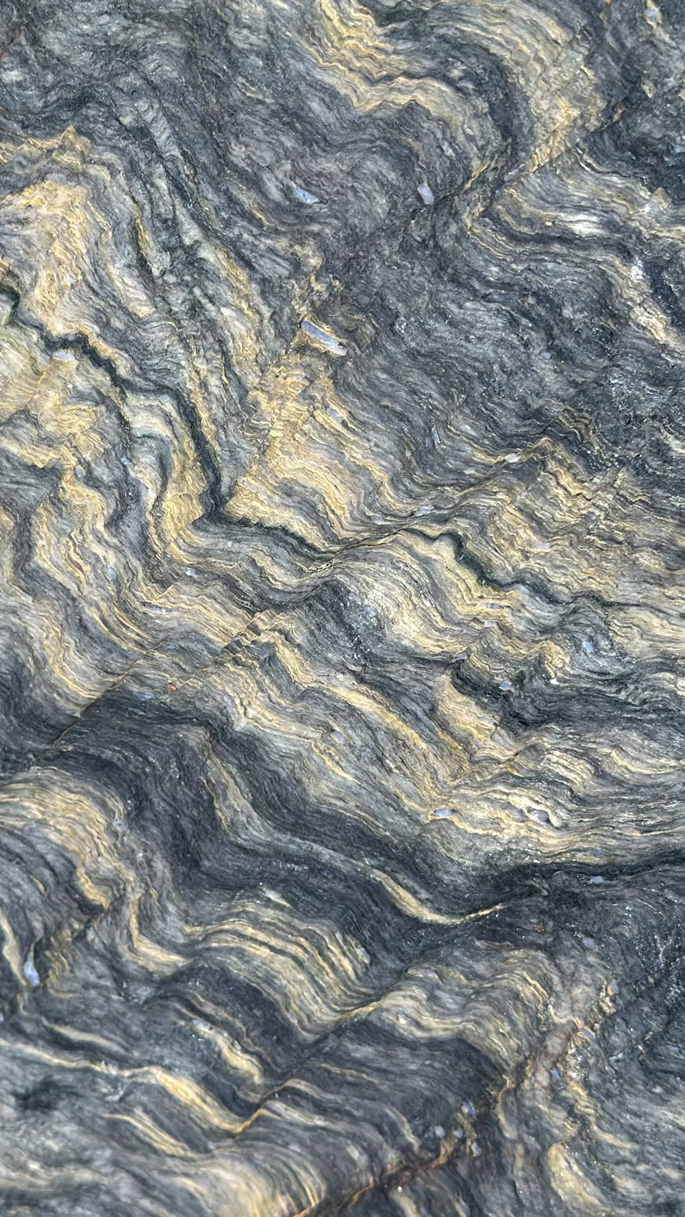 Swirling gray, black, and gold marble-like rock texture