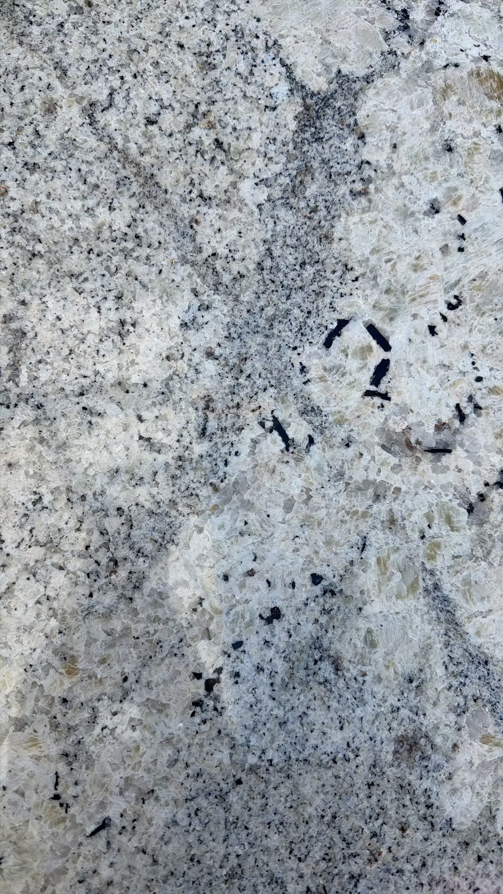 Close-up of a speckled gray granite surface with small dark flecks and a few black markings