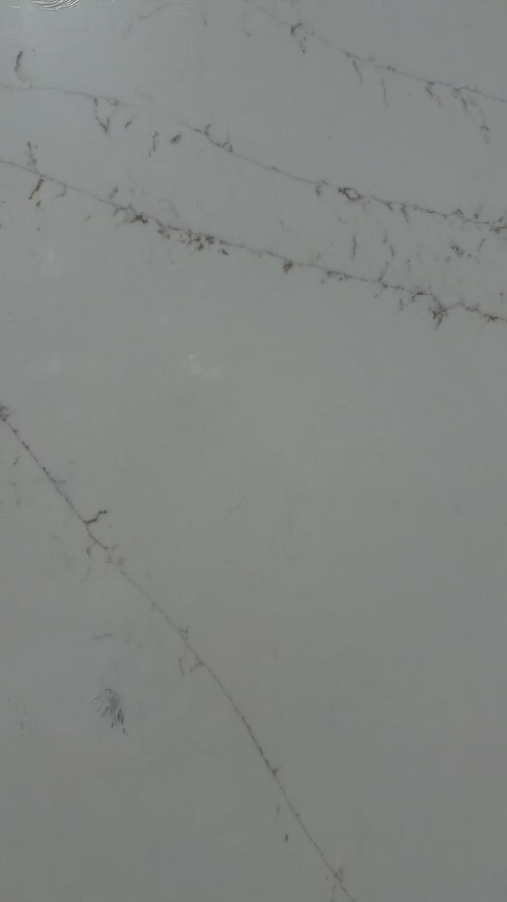 Close-up of light gray marble surface with thin dark veining and small speckles