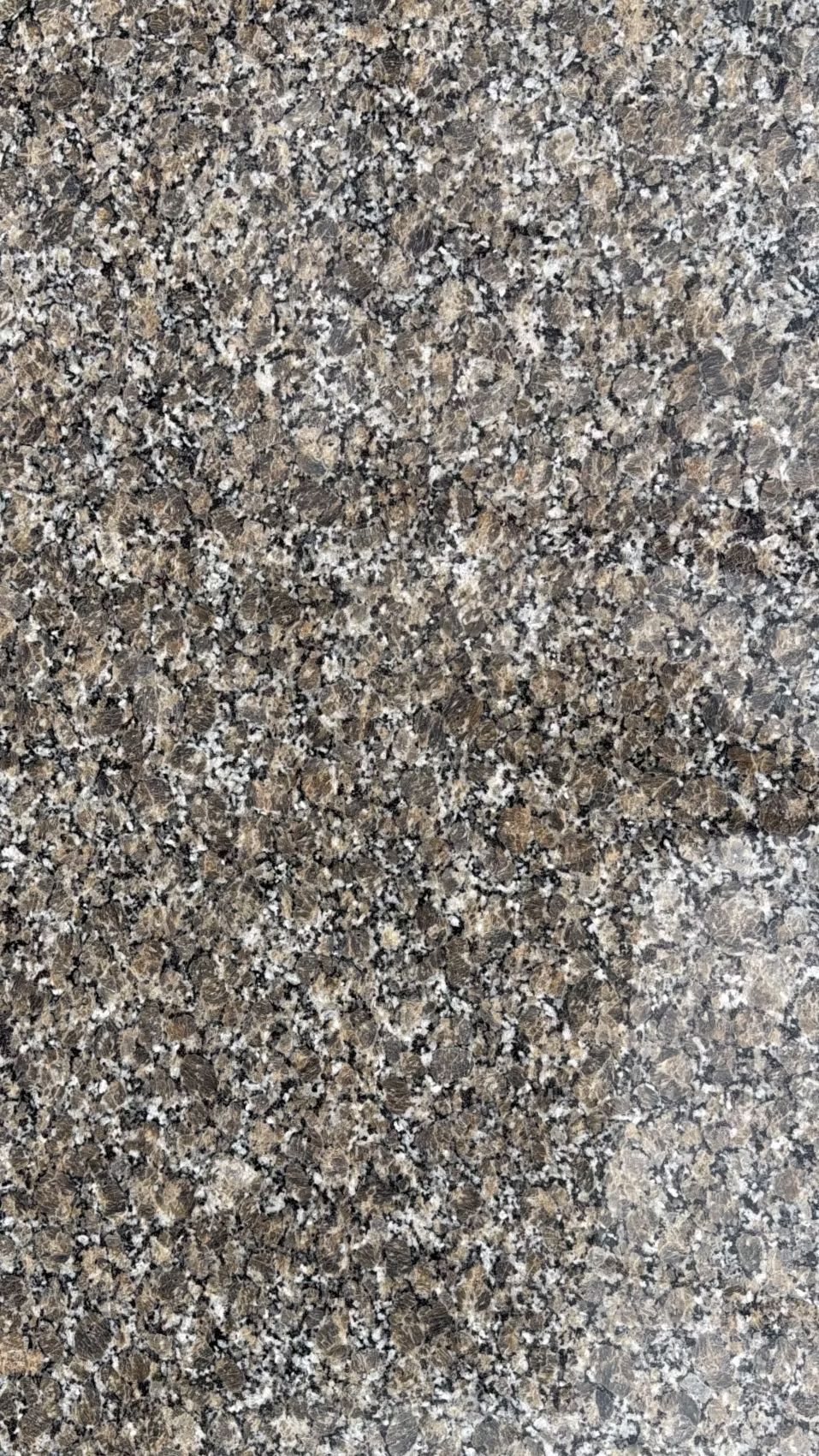 Close-up of a speckled gray and tan stone surface with a rough texture