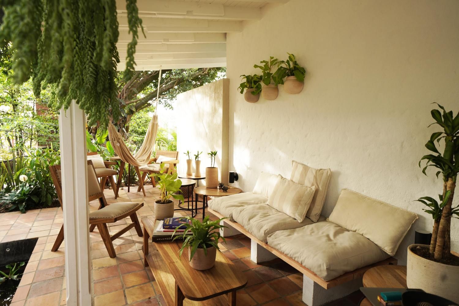 A living room with a couch , table , chairs and potted plants.
