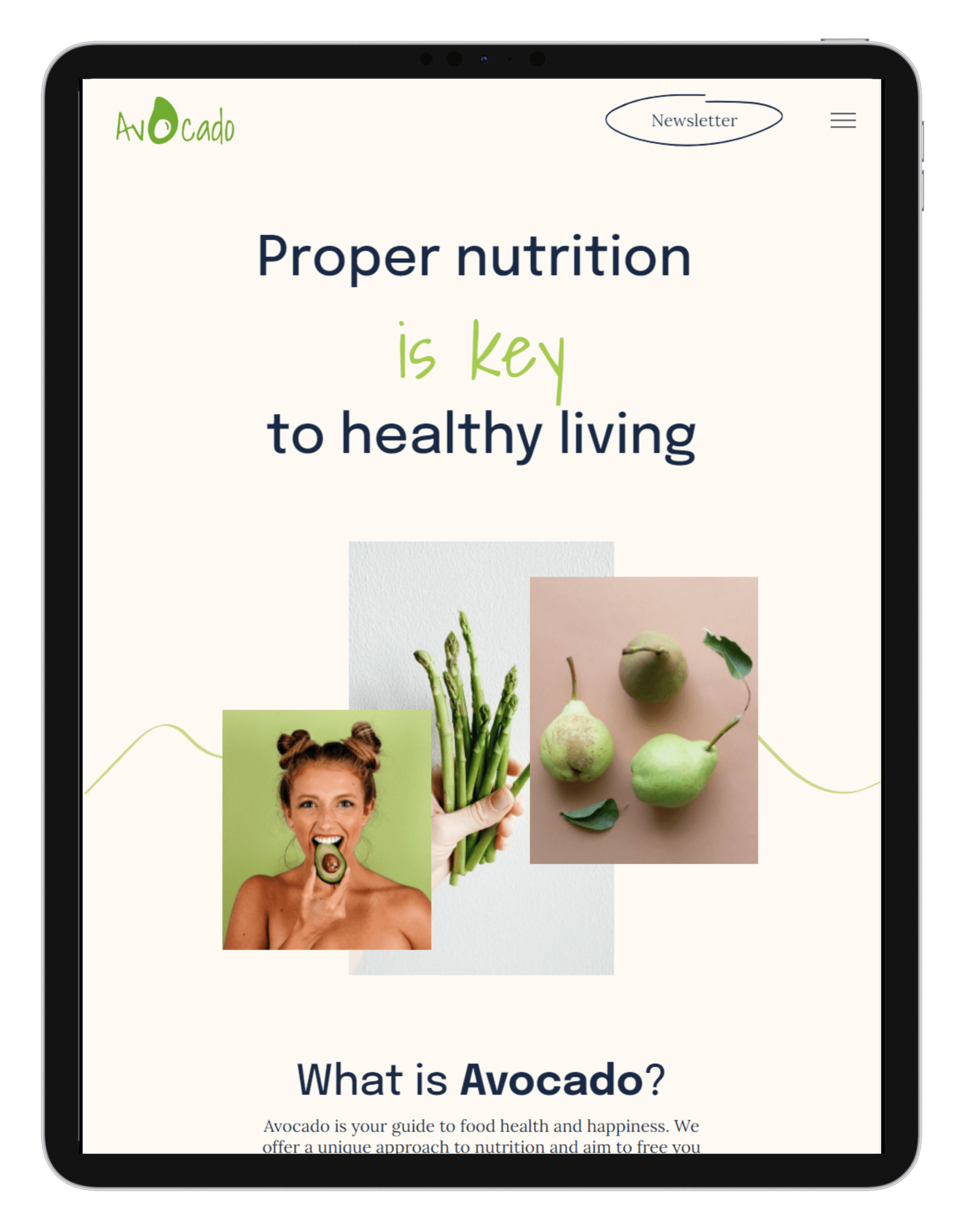 Nutritionist Tablet/iPad View