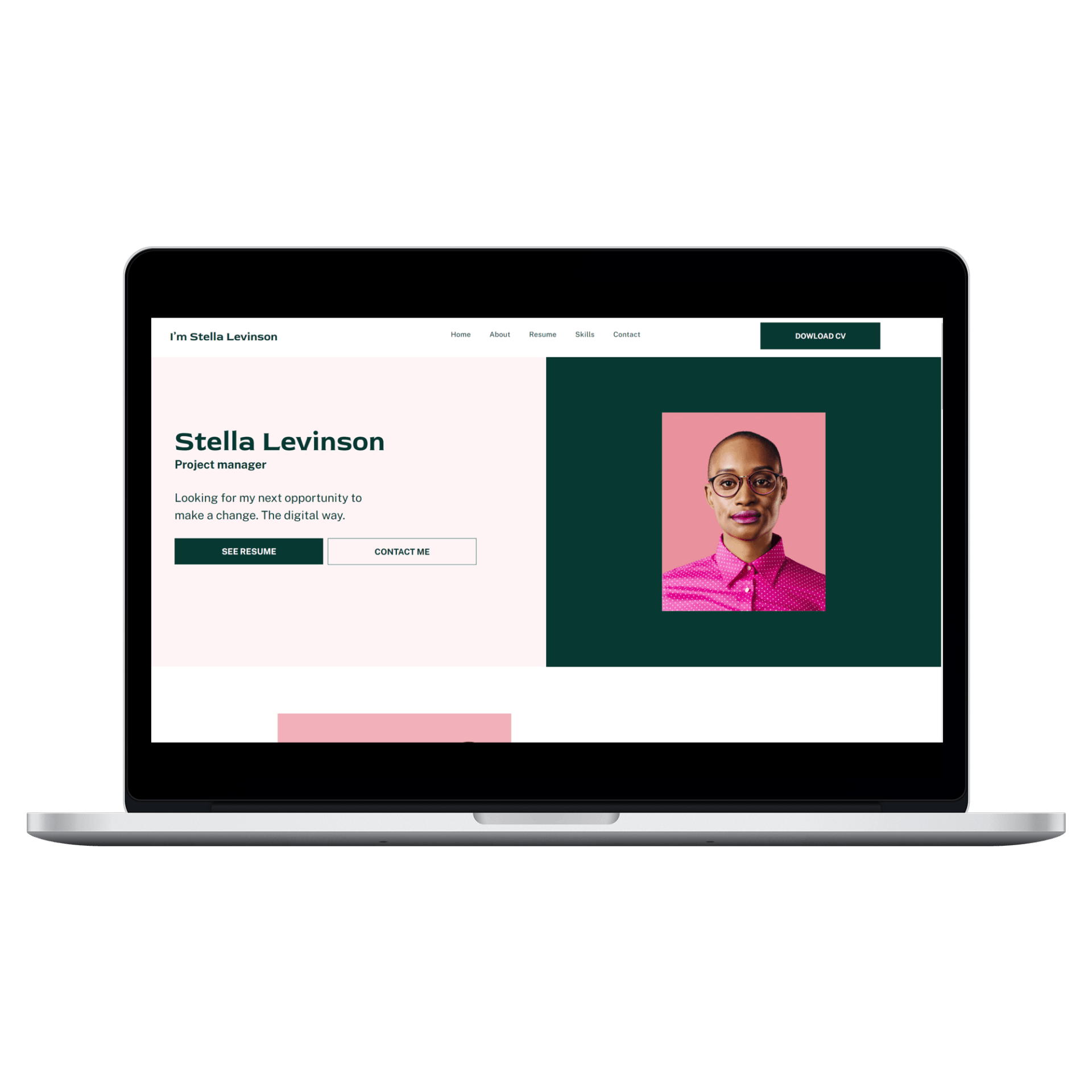 Professional CV Desktop View