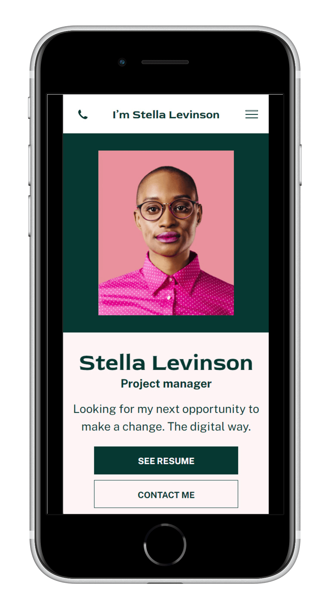 Professional CV Mobile View