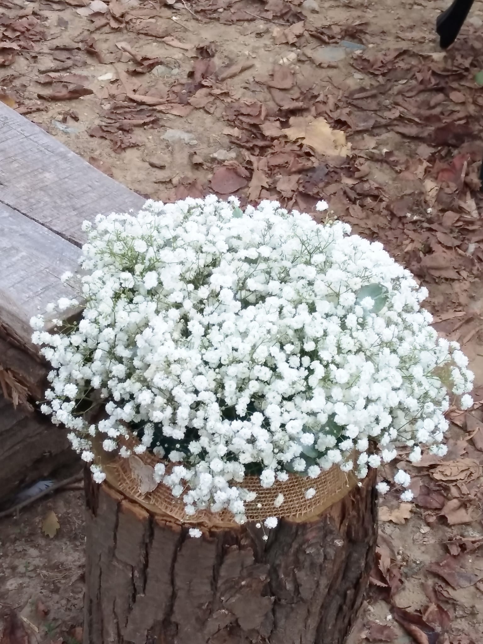 Fiori matrimonio 1