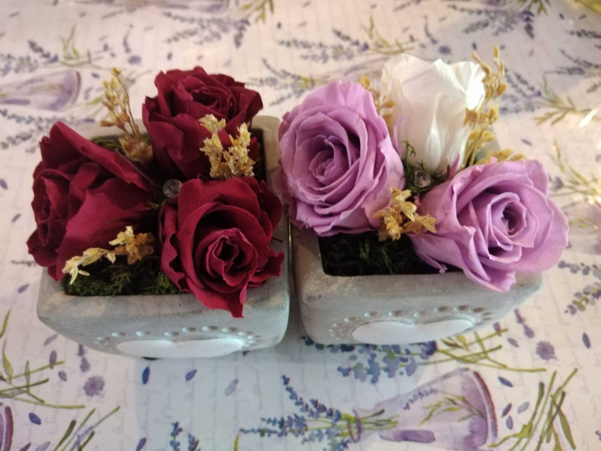 rose stabilizzate 2