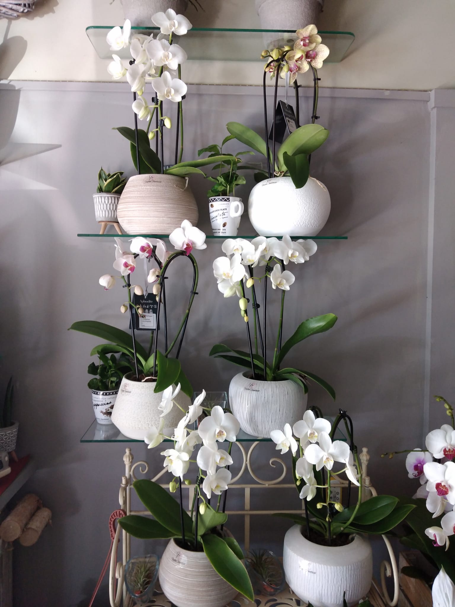 piante interno 9
