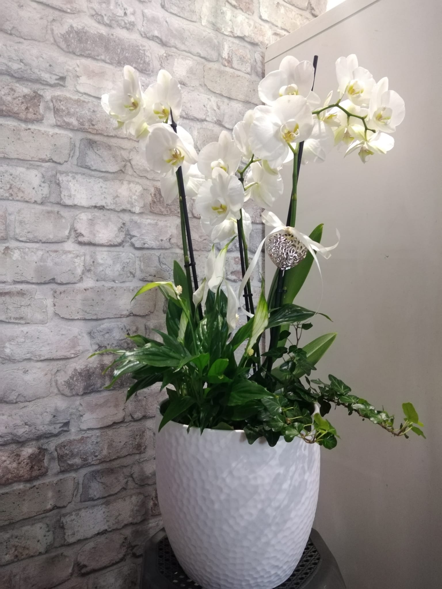 piante interno 10