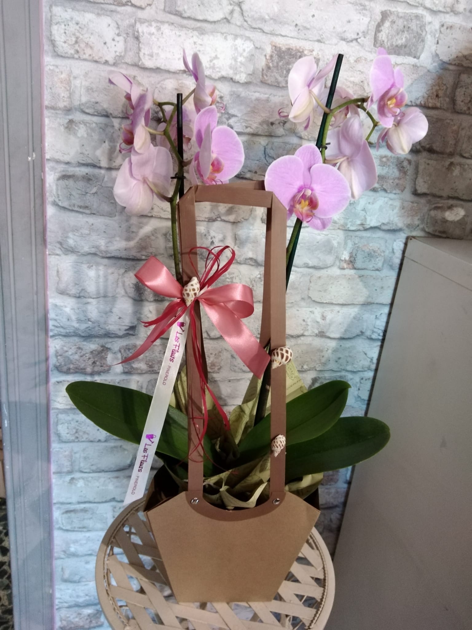 piante interno 5