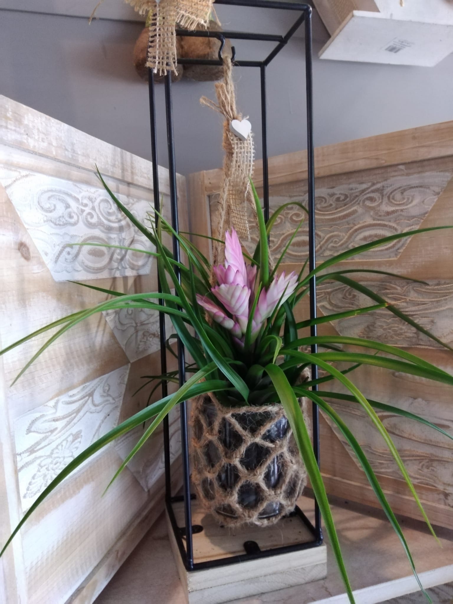 piante interno 4
