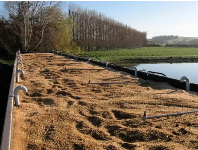 California winery hires earthworms to clean up its wastewater