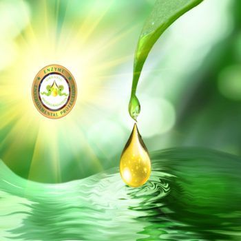 Enzyme Drop