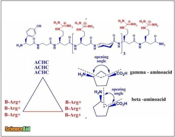 Earthworms’ Proteins